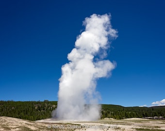 Old Faithful Photo Print, Yellowstone National Park, Geyser, Fine Art Landscape by Original Photographer, Canvas Wall Art Prints for Home