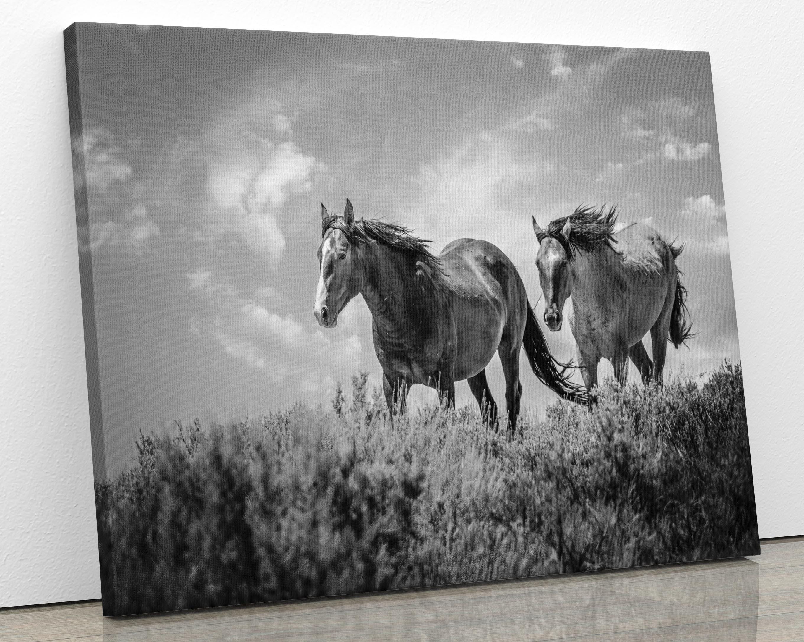 Black and White Colorado Wild Horses Wall Art Print, Mustang Sepia  display picture 1