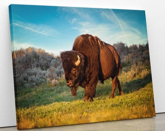 Buffalo Canvas Print, Bison Photograph, Yellowstone National Park Wildlife Photography, Wildlife Wall Art Decor, by Original Photographer