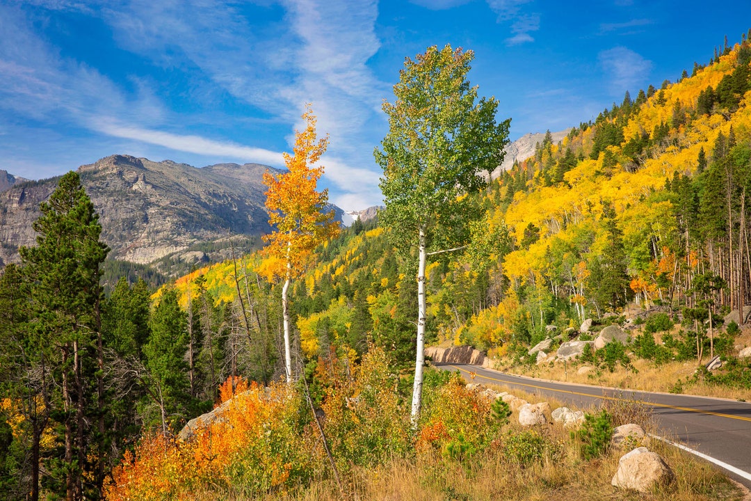 Rocky Mountain National Park Bear Lake Road Fall Aspens Metal or ...