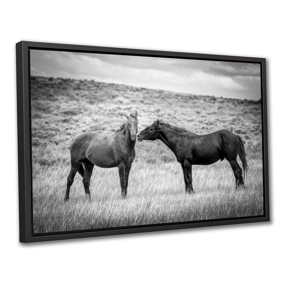 Wild Horses in Wyoming Black and White Photo Print, Mustangs Wall Art ...
