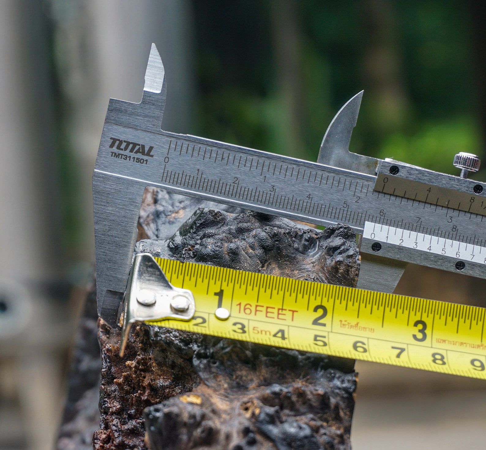 Gold Amboyna BURL LUMBER Live Edge Natural Slab Wood DIY Resin Epoxy Table Top Etsy