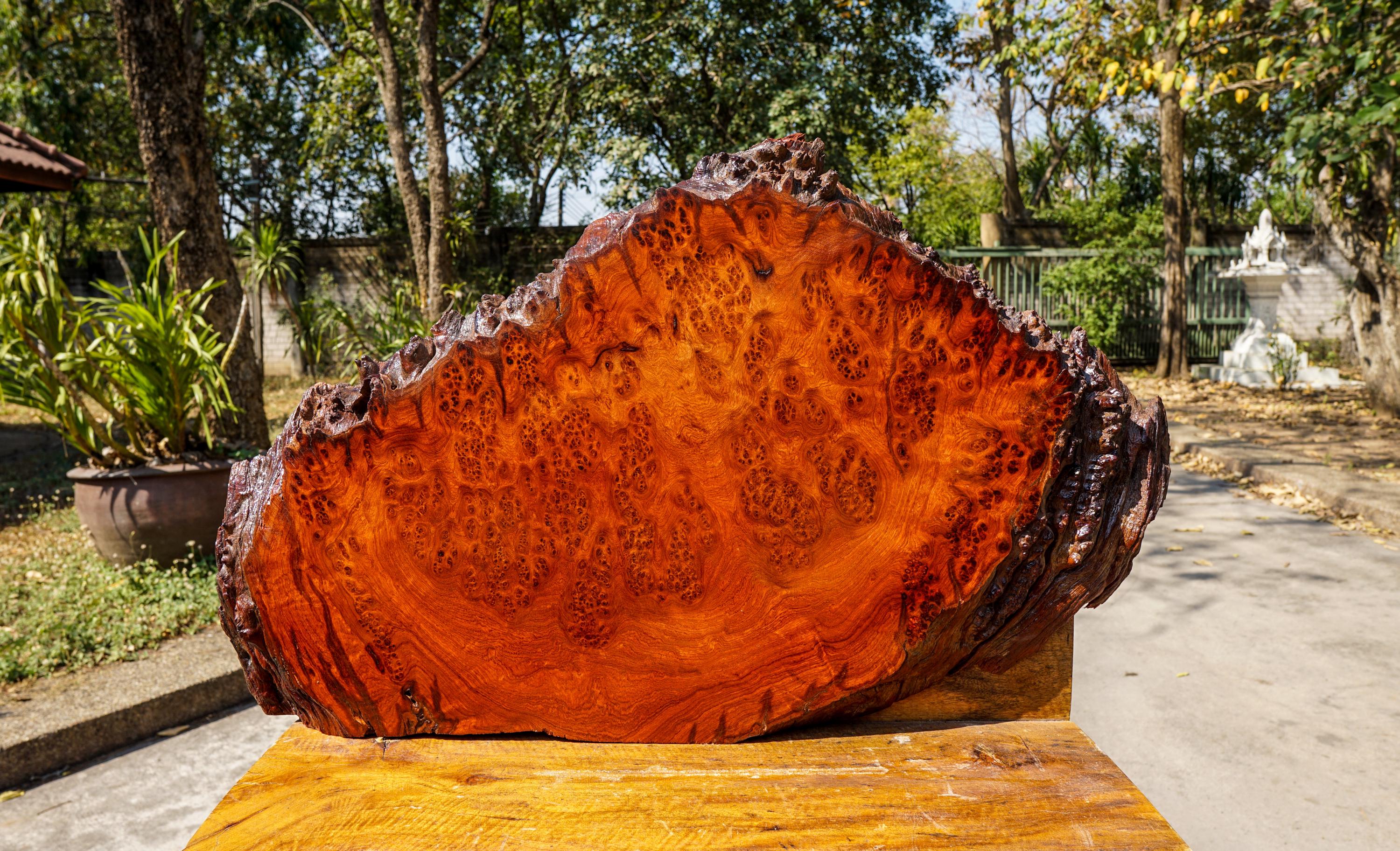Rare!!Red Amboyna BURL LUMBER Live Edge DIY Epoxy Resin Natural Slab Wood Table Top