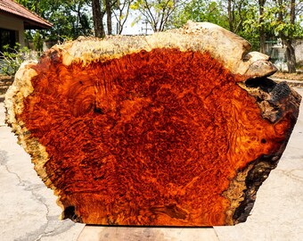 Rare!!Red Amboyna BURL LUMBER Live Edge DIY Resin Epoxy Natural Slab Wood Table Top