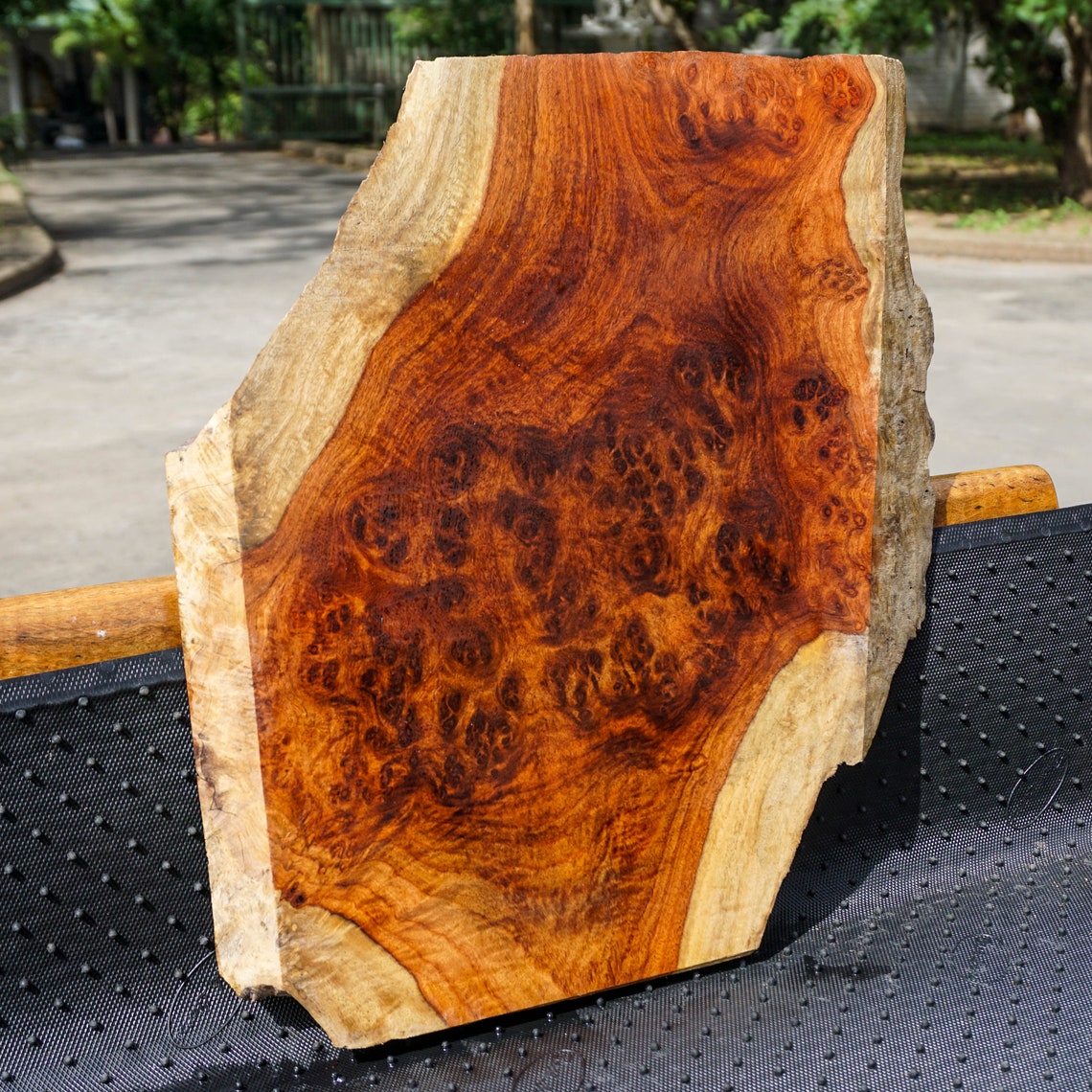 Gold Amboyna BURL LUMBER Natural Slab Wood DIY Table Top Live - Etsy