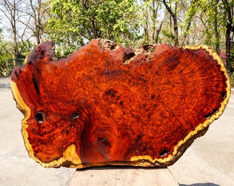 Rare!!Red Amboyna BURL LUMBER Live Edge DIY Epoxy Resin Natural Slab Wood Table Top