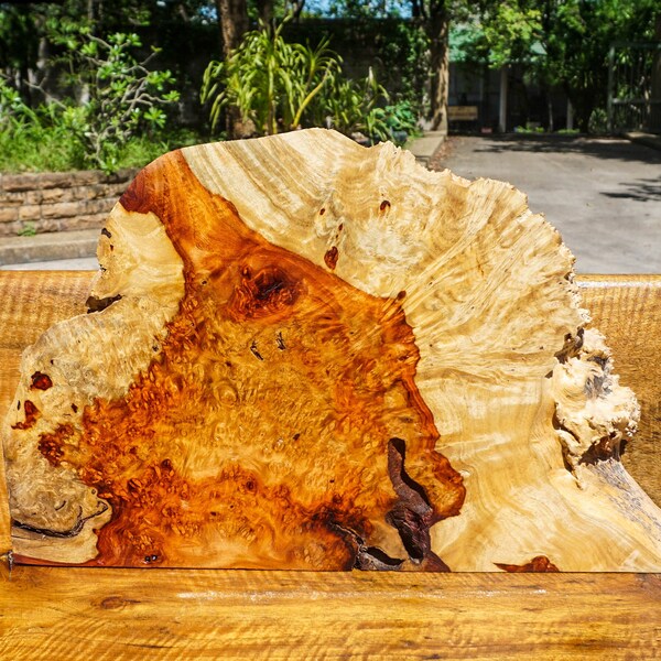 Rare!! Golden Amboyna BURL LUMBER Live Edge DIY Epoxy Resin Natural Slab Table Top Wood