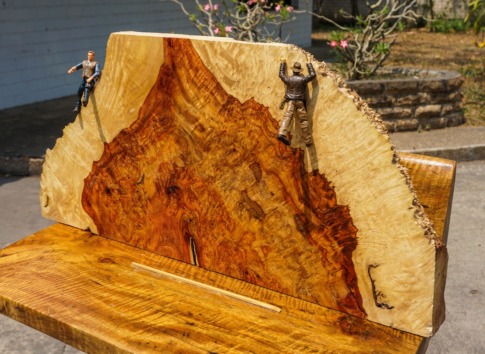 Gold Amboyna BURL LUMBER Natural Slab Wood Live Edge DIY Epoxy Etsy