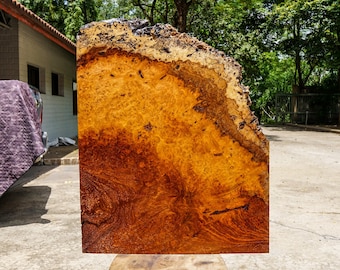 Gold Amboyna BURL LUMBER Live Edge Natural Slab Wood Epoxy DIY Resin ...