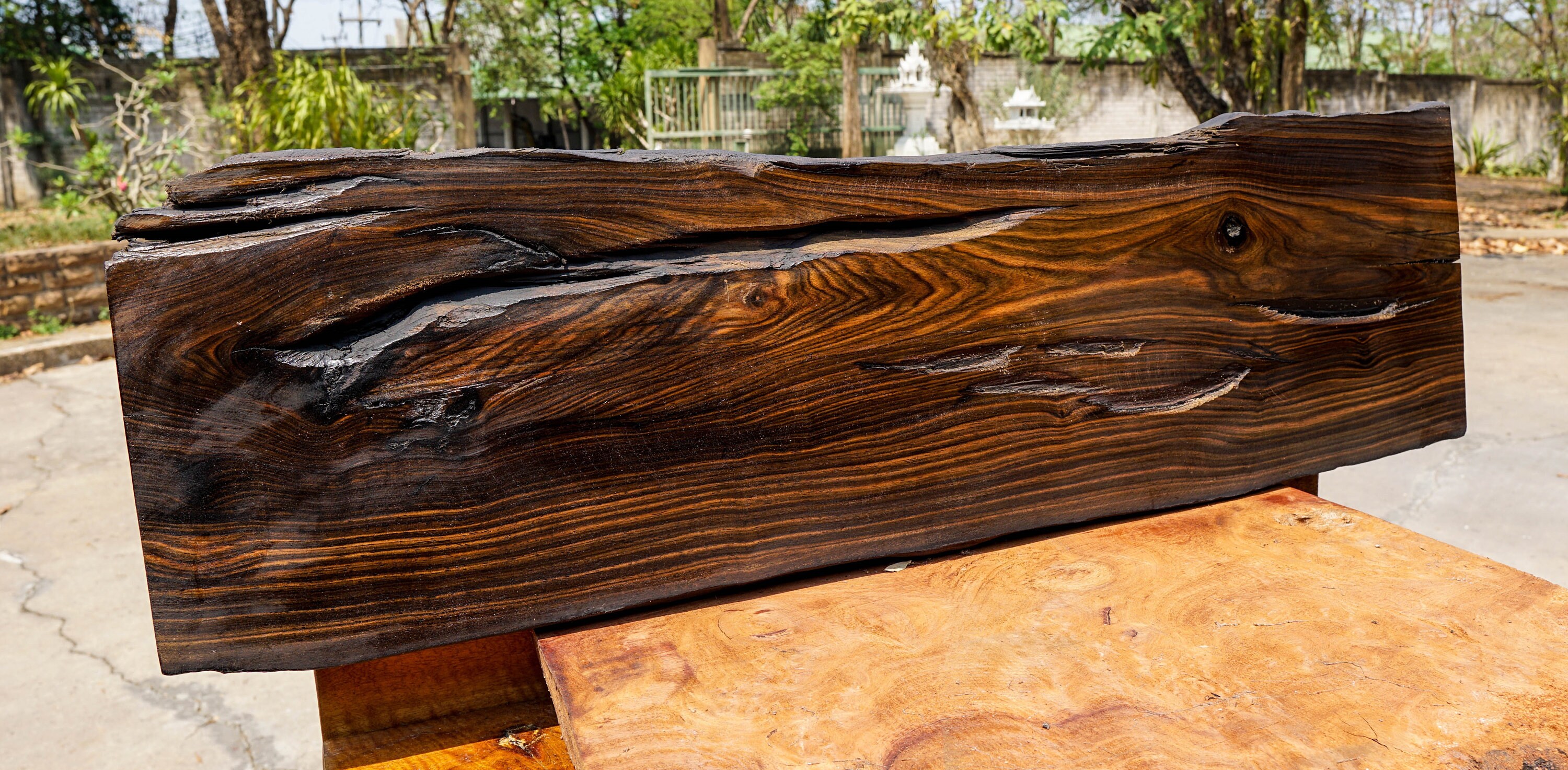 Mabolo Velvet Apple BURL LUMBER Live Edge Natural Slap Ebony