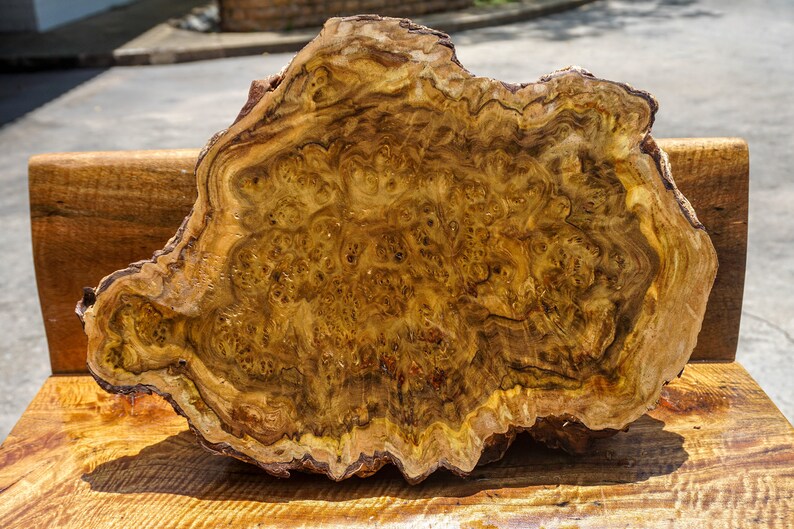 Black Gold Exotic Wood BURL LUMBER Live Edge Natural Slab - Etsy