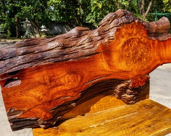 Rare!! Gold Amboyna BURL LUMBER Live Edge Resin Epoxy DIY Natural Slab Wood Table Top