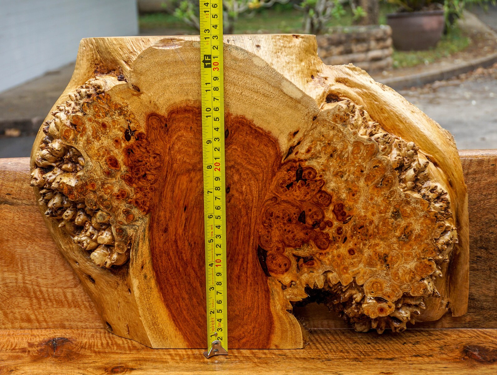 Gold Amboyna BURL LUMBER Natural Slab Wood Table Top Live Edge Resin Epoxy DIY Etsy