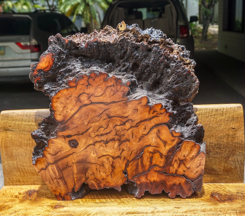 Gold Amboyna BURL LUMBER Live Edge Natural Slab Wood DIY Resin Epoxy ...