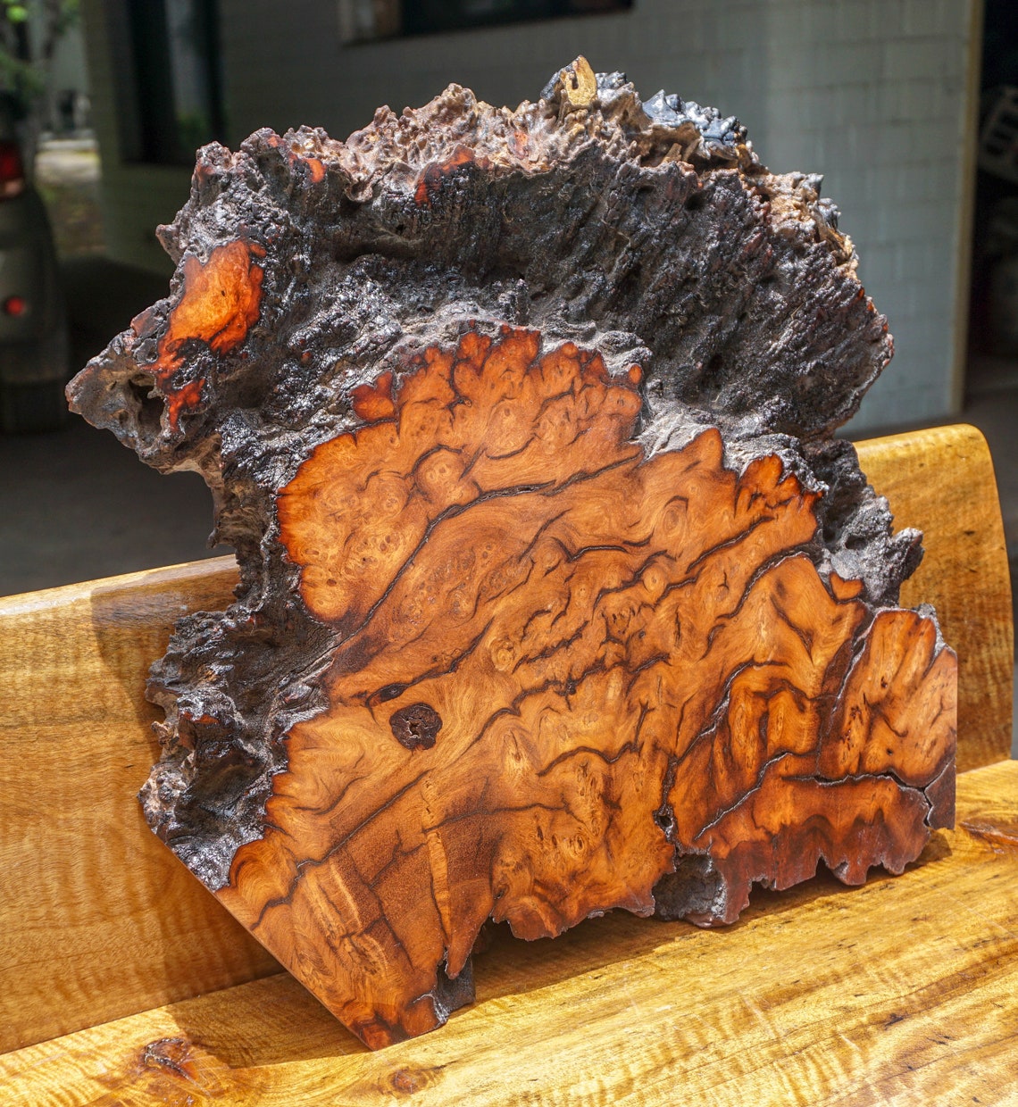 Gold Amboyna BURL LUMBER Live Edge Natural Slab Wood DIY Resin Epoxy Table Top Etsy