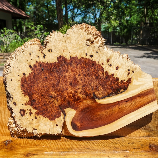 Rare!! Golden Amboyna BURL LUMBER Live Edge Natural Slab Table Top Wood DIY Epoxy Resin