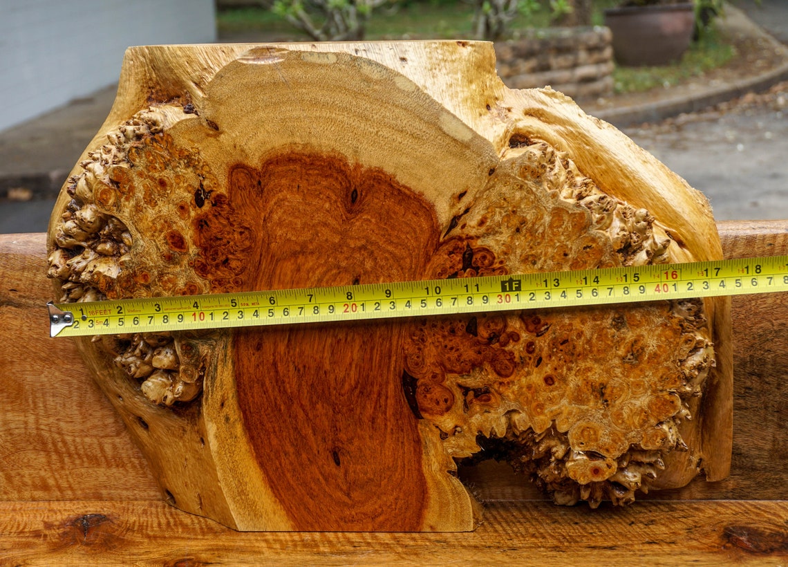 Gold Amboyna BURL LUMBER Natural Slab Wood Table Top Live Edge Etsy