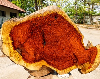 Rare!!Red Amboyna BURL LUMBER Live Edge DIY Resin Epoxy Natural Slab Wood Table Top