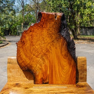 Gold Amboyna BURL LUMBER Live Edge Natural Slab Wood Resin Epoxy Table Top DIY