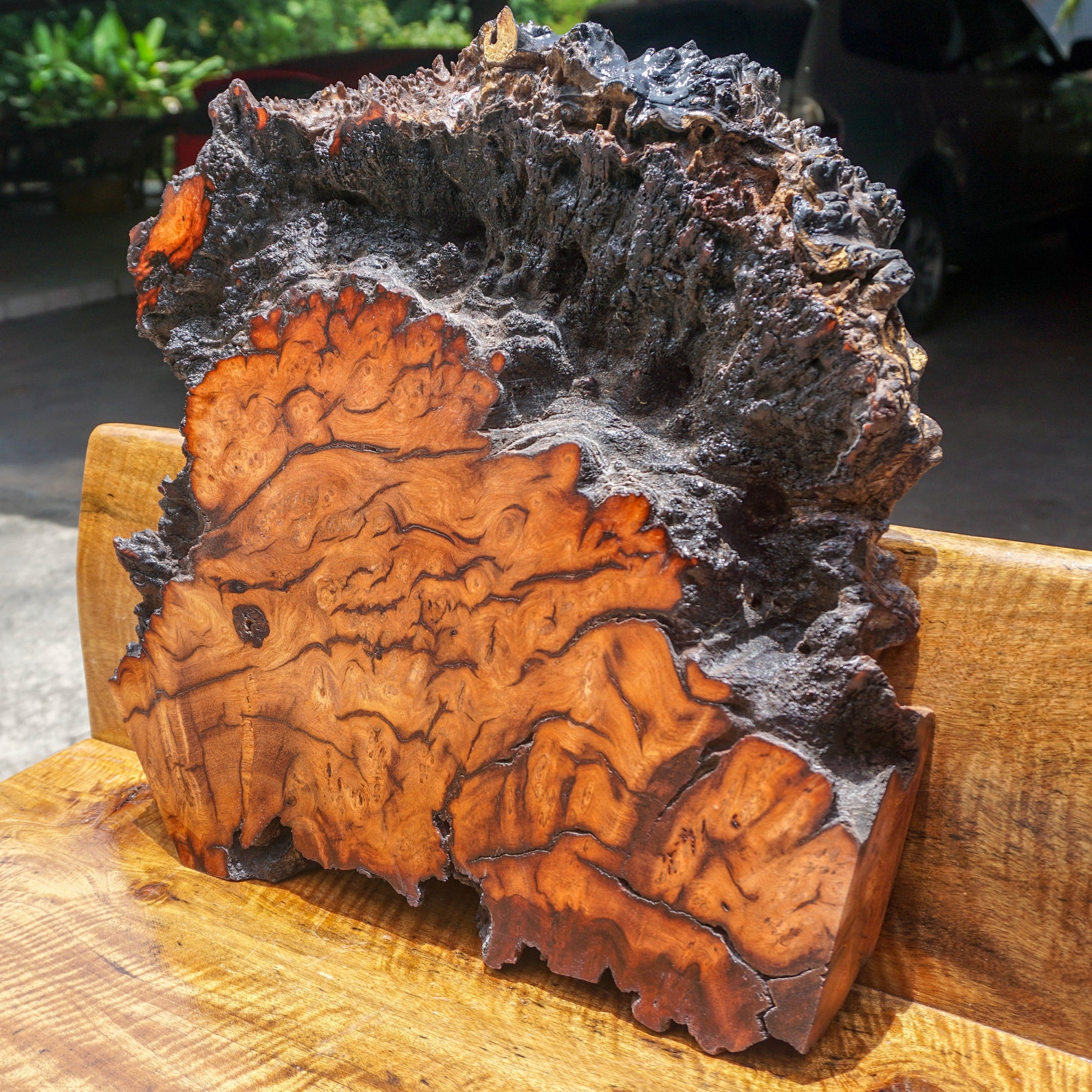 Gold Amboyna BURL LUMBER Live Edge Natural Slab Wood DIY Resin Epoxy Table Top Etsy