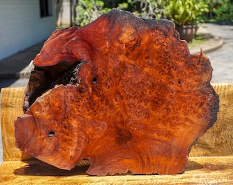 Gold Amboyna BURL LUMBER Wood Natural Slab Live Edge Epoxy Resin Table Top DIY