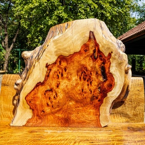 Rare!!  Gold Amboyna BURL LUMBER Live Edge Resin Epoxy DIY Natural Slab Wood Table Top