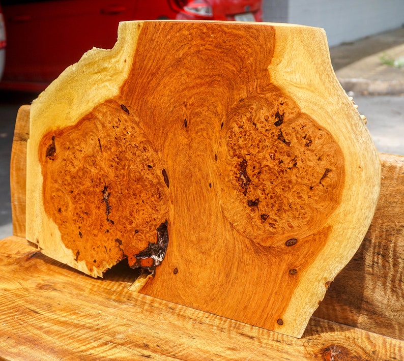 Gold Amboyna BURL LUMBER Natural Slab Wood Table Top Live Edge Resin ...