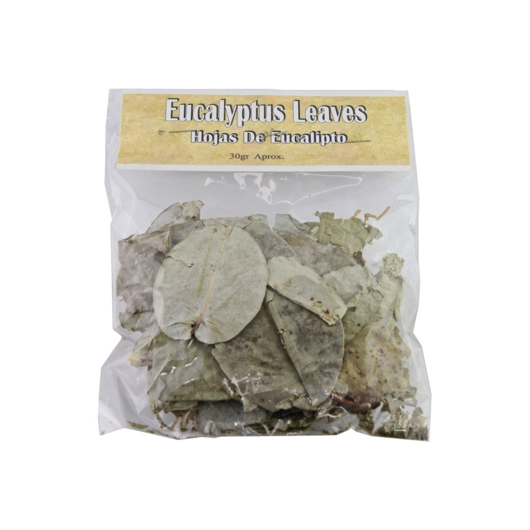 Hojas De Eucalipto Seca 30 Gramos Eucalyptus Leaves Dried 30 Grams Pack