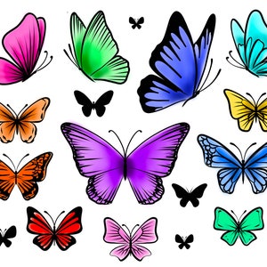 Color Butterfly Temporary Tattoo Sheet Multipack / tattoo design / tattoo women