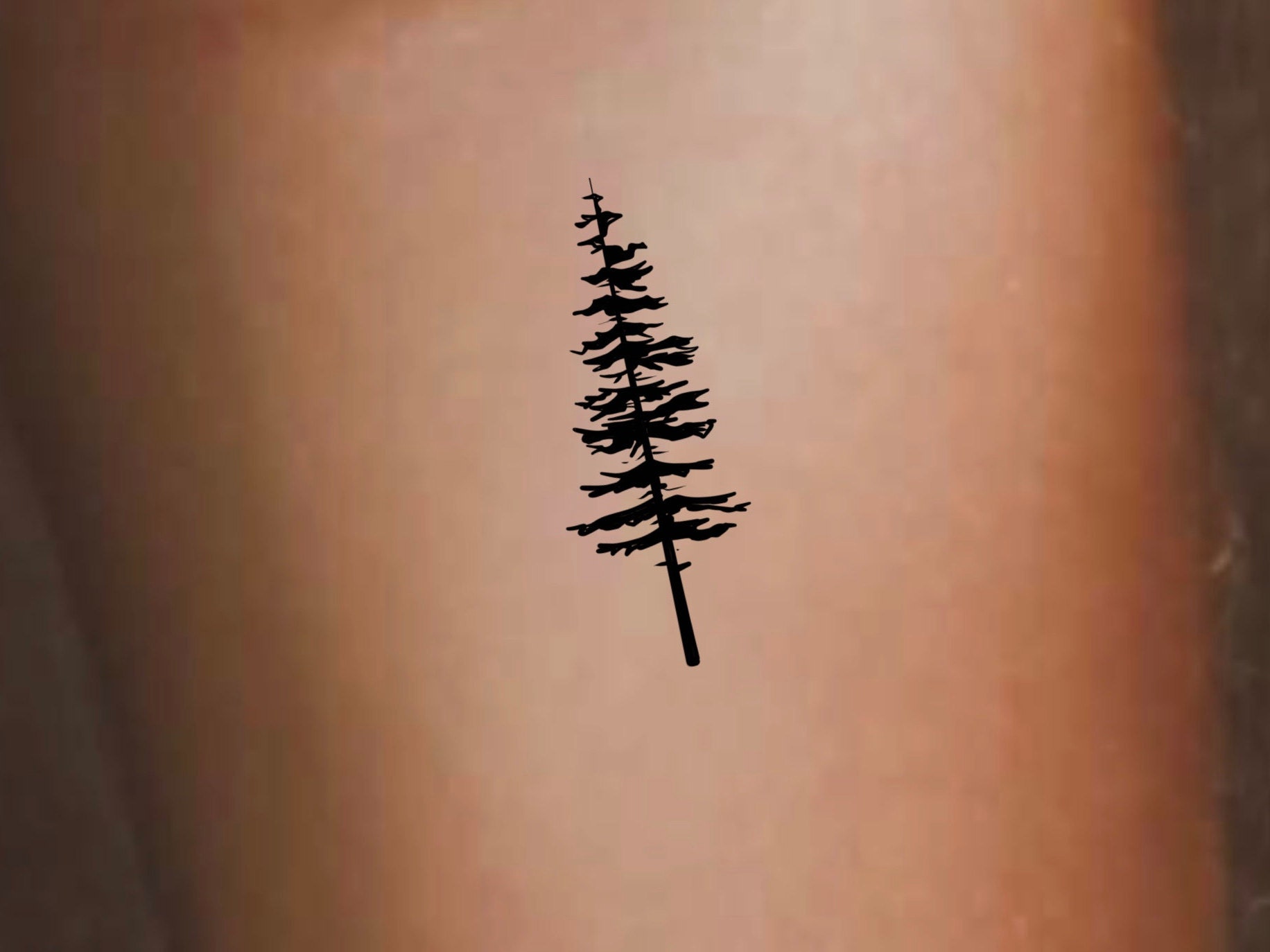 Conifer Tree Temporary Tattoo  Set of 3  Tatteco