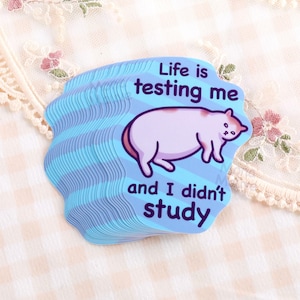Funny Cat Meme Waterproof Vinyl Sticker - "Life Is Testing Me" image 1