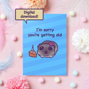 Afdrukbare trieste hamster verjaardagskaart digitale download | Het spijt me dat je oud wordt | Grappig memecadeau voor vriend, vriendin, echtgenoot