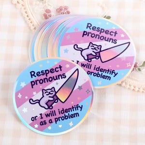 Holographic Respect Pronouns Vinyl Sticker | Trans, Gender Fluid & Non-Binary Pride | Cute Cat Meme | Waterproof Holo Sticker Trans Flag