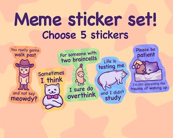 Conjunto de adesivos engraçados de memes de gatos: pacote de adesivos de vinil à prova d'água