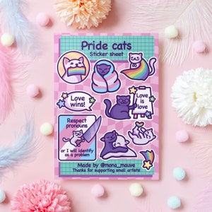 Lámina de pegatinas de gatos del orgullo LGBTQ+ / Set de 10 pegatinas de vinilo adorables / Amor es amor, Orgullo trans, El amor triunfa, Respeto a los pronombres / Pegatinas impermeables