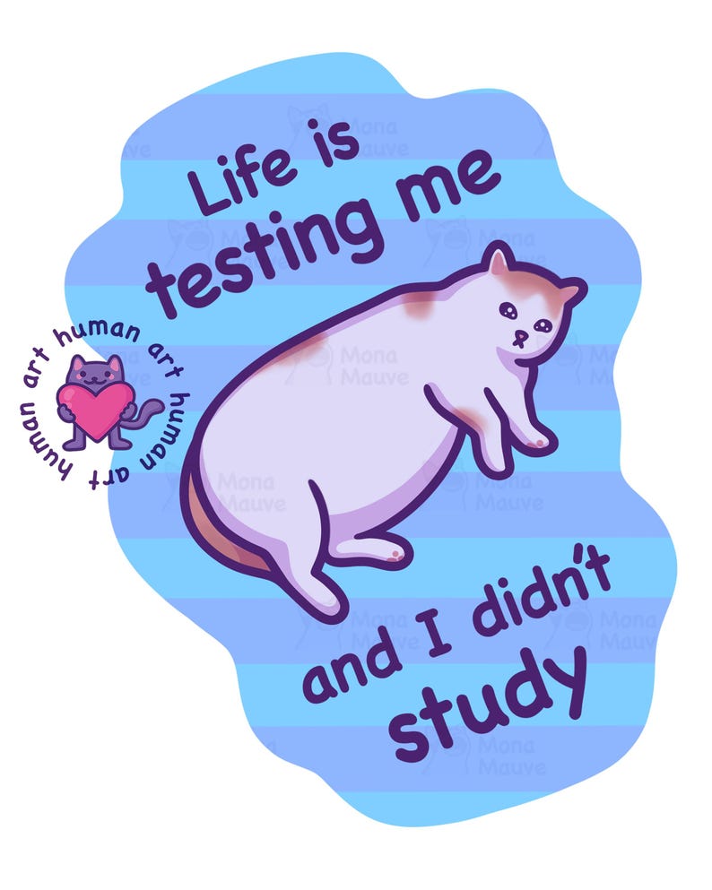 Funny Cat Meme Sticker, Life is Testing Me and I Didn't Study ...