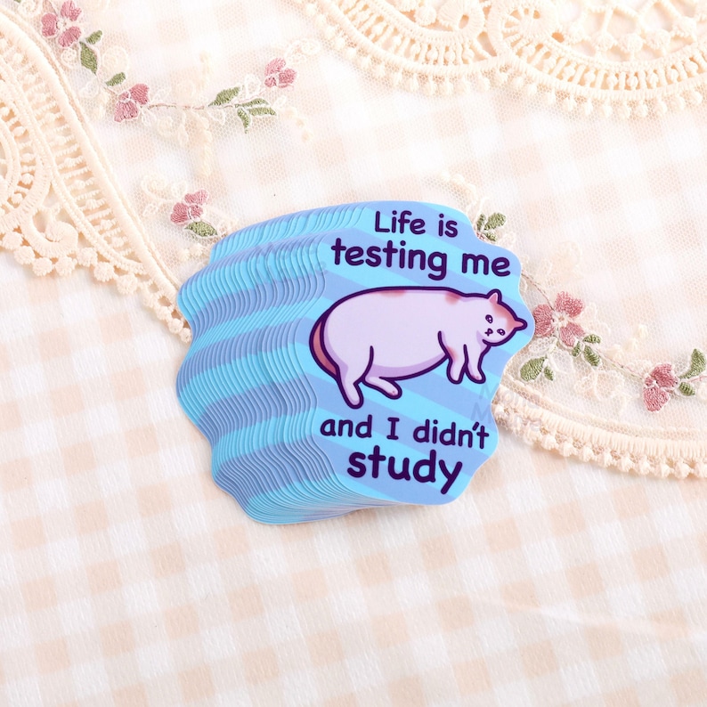 Funny Cat Meme Waterproof Vinyl Sticker - "Life Is Testing Me" image 1