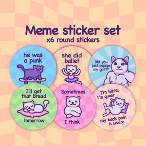 Conjunto de pegatinas redondas Cat Meme / Hoja de pegatinas divertidas / Sk8er Boi / Gato educado / Humorístico y caótico / Reciclable Lindo paquete de etiquetas circulares de 63,5 mm