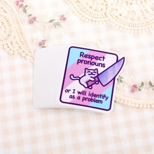 Respect Pronouns Vinyl Sticker | Trans, Gender Fluid & Non-Binary Pride | Cute Cat Meme | Waterproof Bumper/Laptop Sticker with Trans Flag