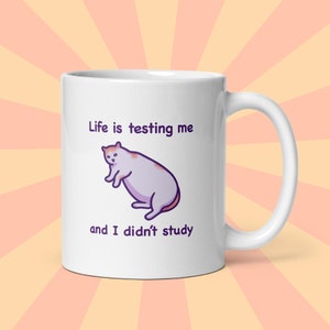 Funny Cat Meme Mug | Life Is Testing Me | Self-Deprecating Ceramic Mug | Unique Gift for Best Friend, Girlfriend, Boyfriend - Her or Him