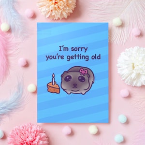 Carte d'anniversaire triste meme de hamster | Je suis désolé que vous vieillissiez | Cadeau d'anniversaire amusant pour petite amie, petit ami, mari, femme, elle, lui