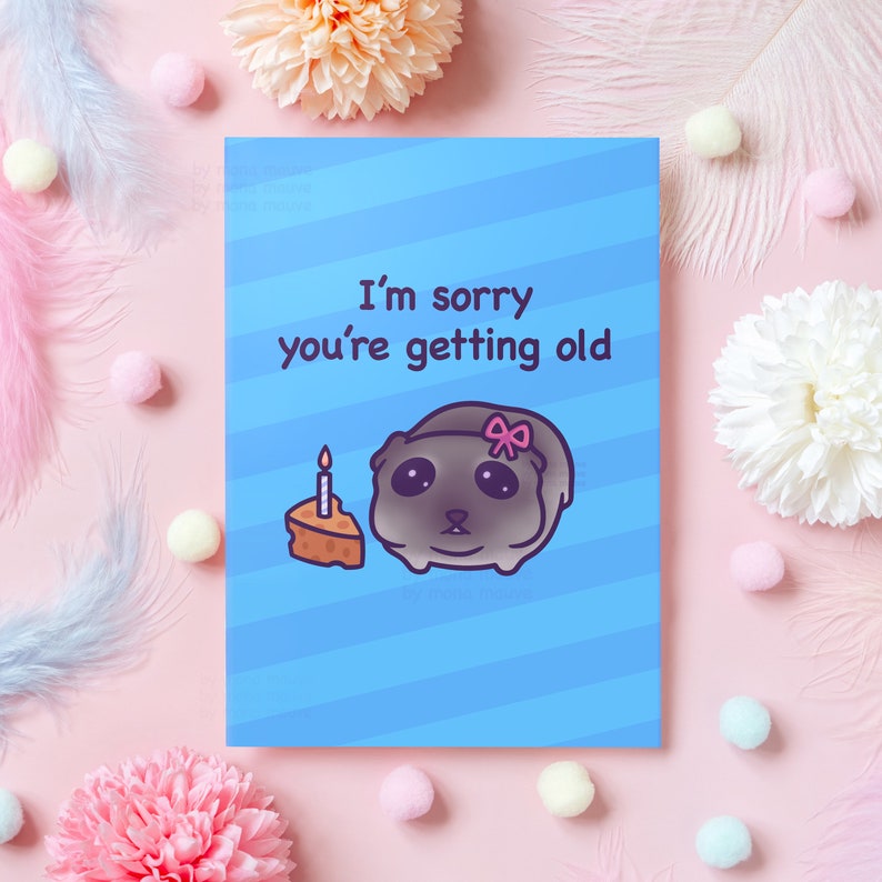 Carte d'anniversaire triste meme de hamster | Je suis désolé que vous vieillissiez | Cadeau d'anniversaire amusant pour petite amie, petit ami, mari, femme, elle, lui image 1