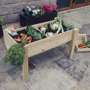 May include: A raised wooden garden bed with multiple compartments filled with soil and various vegetables, including carrots, cabbage, cauliflower, and leeks. The bed is made of natural wood and has a rustic look.