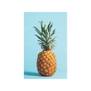 Colorful Tropical Pineapple Bundle