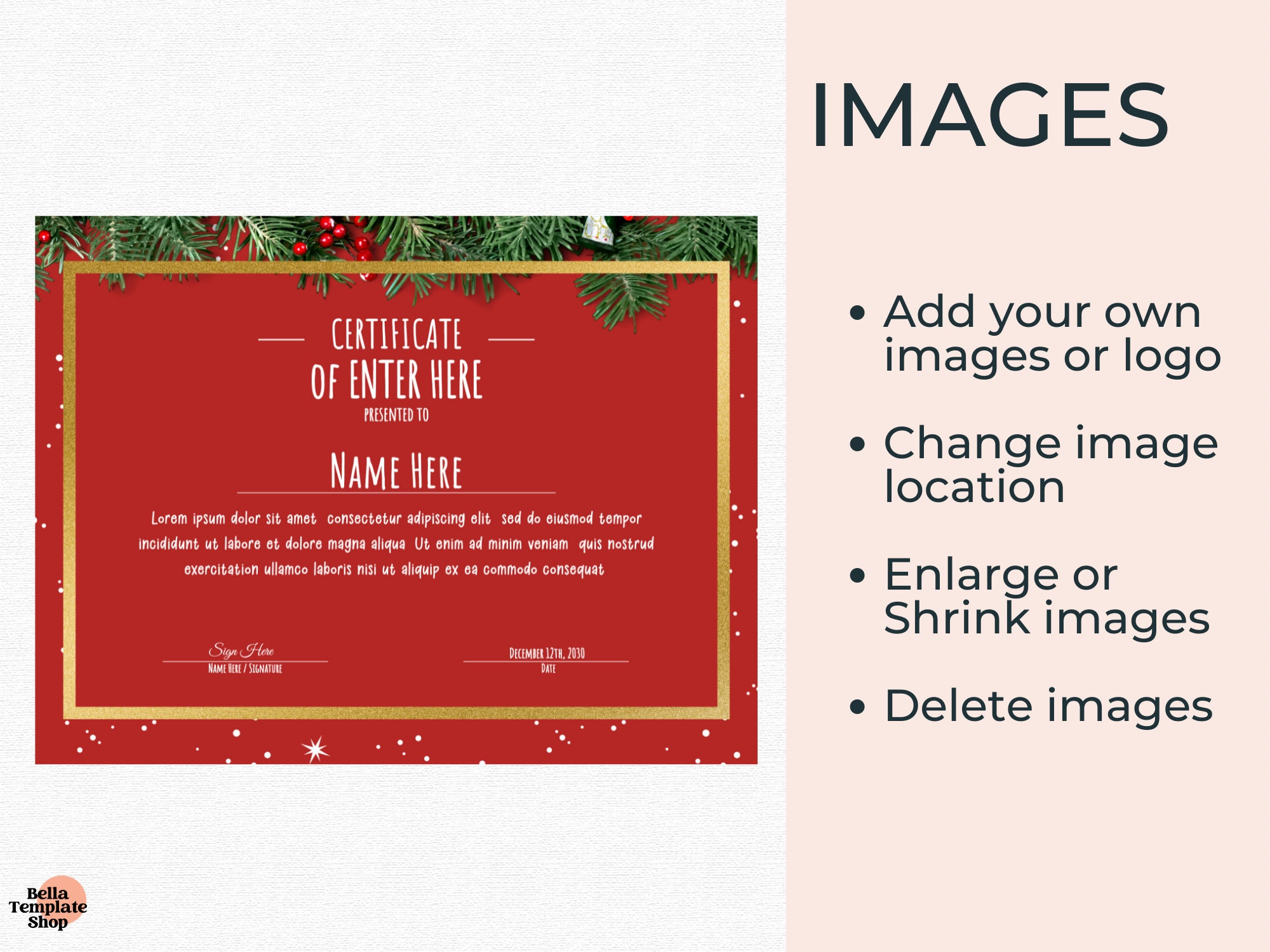 Editable Holiday Certificate Template Printable Christmas Etsy