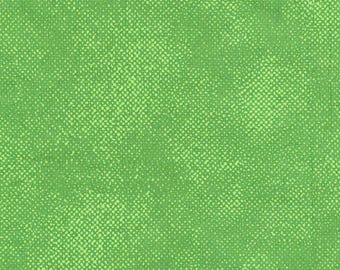 Surface Screen Texture in Green from Timeless Treasures C1000-GREEN cotton quilting fabric