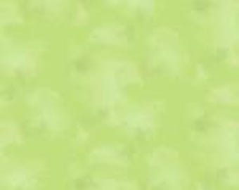 Colorstock Happy by Judy & Judel Niemeyer-Brushstroke-Mfg Timeless Treasures-Mfg #C2970-Sencha-Premium Cotton Fabric-Sold by Half Yard