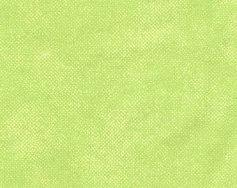 Surface Screen Texture - Spring -Manufacturer Timeless Treasures-Manufacturer #C1000-SPRING-Premium Cotton Fabric-Sold by Half Yard Cuts