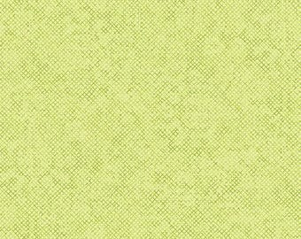 Whisper Weave Too by Nancy Halvorsen cotton quilting fabric in Pistachio from Benartex