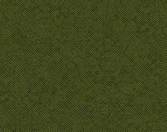 Whisper Weave Too by Nancy Halvorsen cotton quilting fabric in Mistletoe green from Benartex